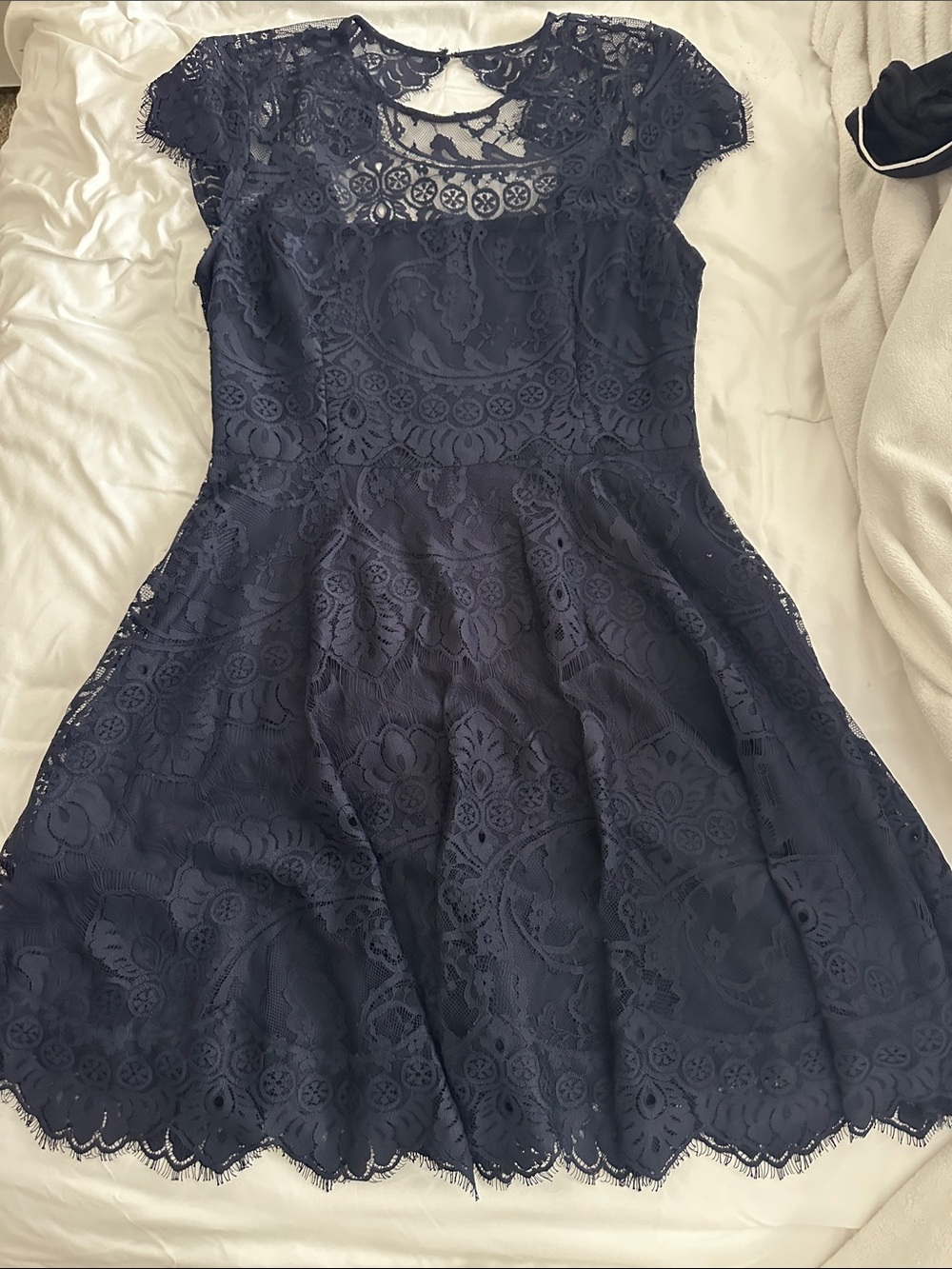 BB Dakota Navy Lace Fit & Flare Dress